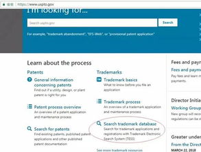 網頁設計產品上傳防侵權指南 從創意到合規的全程要點